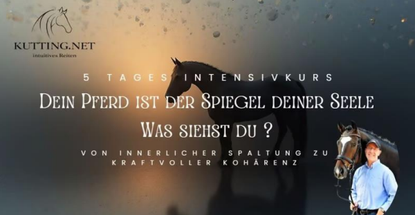 Dein Pferd ist der Spiegel deiner Seele